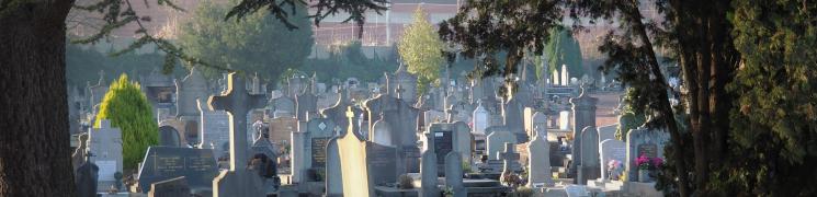 Le cimetière principal, les grandes familles